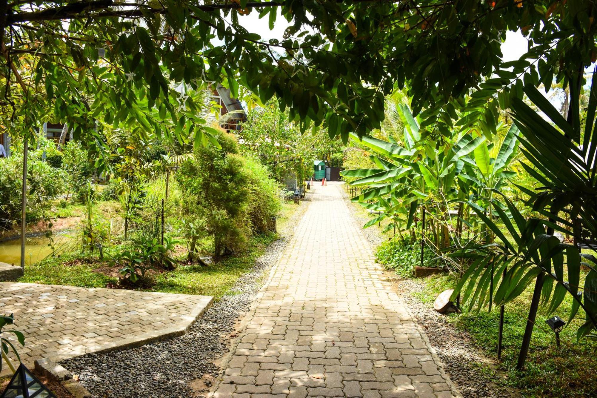 Steps Garden Resort Negombo Bagian luar foto