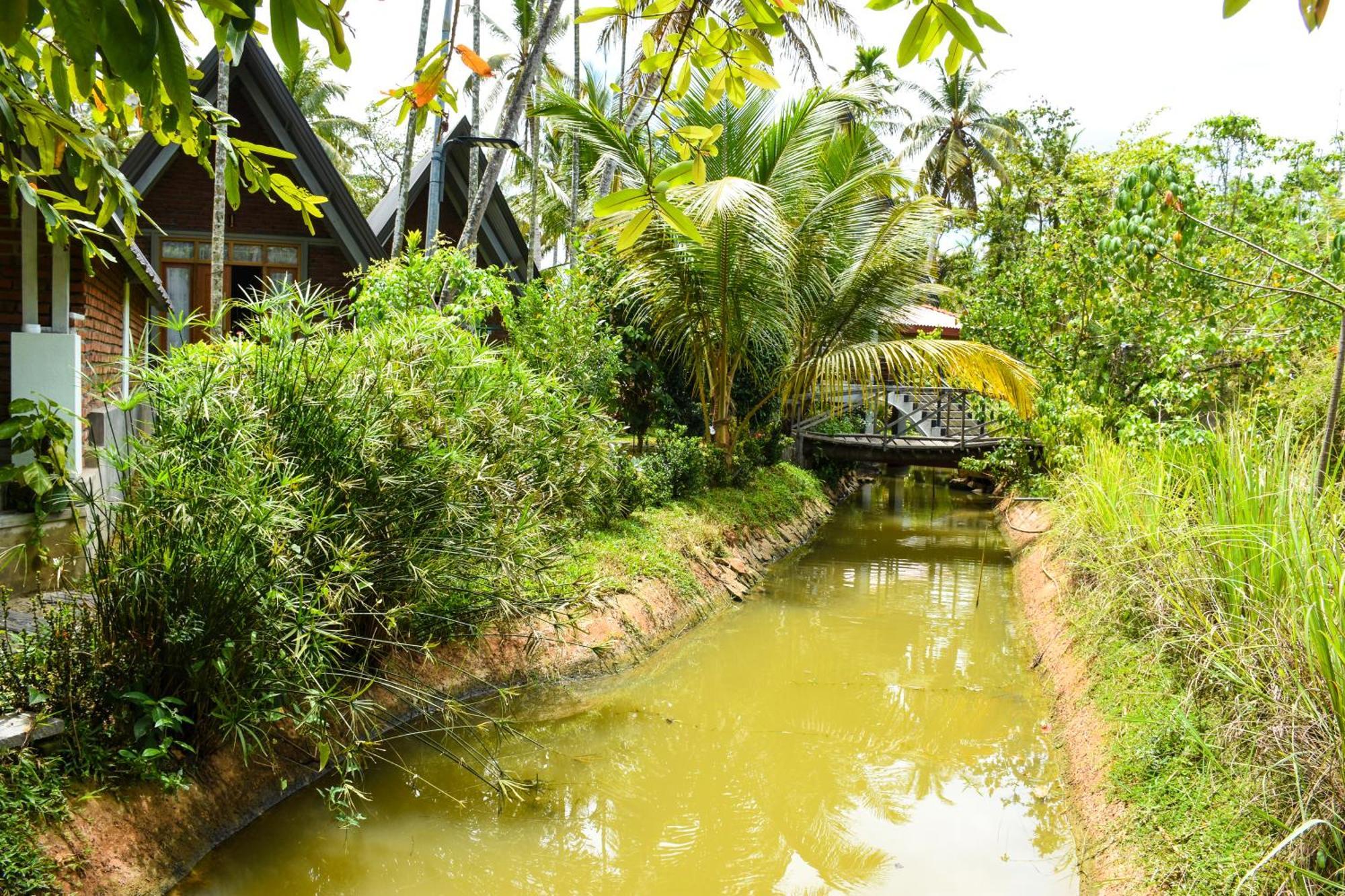 Steps Garden Resort Negombo Bagian luar foto