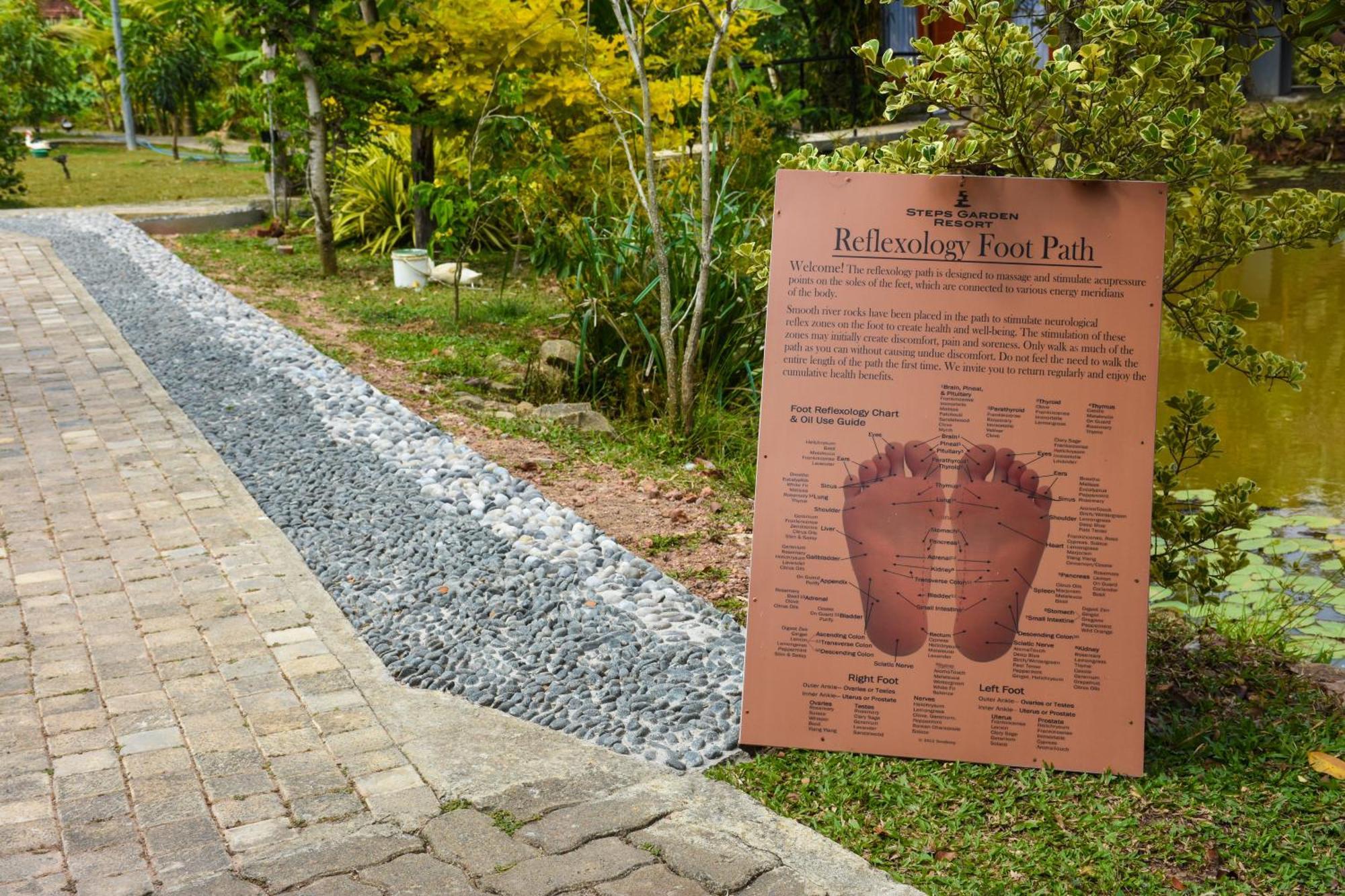 Steps Garden Resort Negombo Bagian luar foto