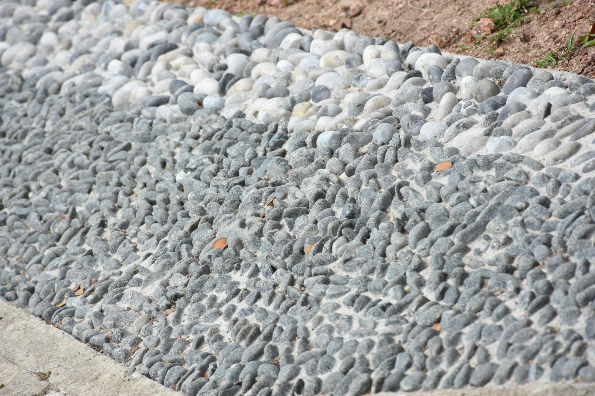 Steps Garden Resort Negombo Bagian luar foto